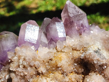 Load image into Gallery viewer, ✨ Rare AMETRINE Raw Cluster – Natural Harmony & Wealth Magnet! ✨