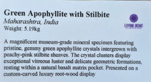 Load image into Gallery viewer, Jumbo Green Apophyllite with Stilbite Mineral Specimen (Maharashtra, India) – 印度马哈拉施特拉邦大型绿色鱼眼石共生辉沸石天然矿物标本