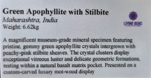 Load image into Gallery viewer, Jumbo Green Apophyllite with Stilbite Mineral Specimen (Maharashtra, India) – 印度马哈拉施特拉邦大型绿色鱼眼石共生辉沸石天然矿物标本