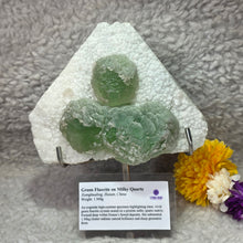 Load image into Gallery viewer, Green Fluorite on Milky Quartz Mineral Specimen (Xianghualing, Hunan, China) – 中国湖南香花岭绿色萤石共生乳白石英天然矿物标本