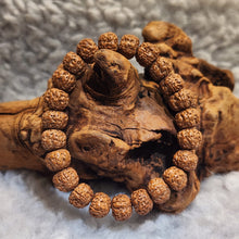 Load image into Gallery viewer, 🌿 Rudraksha Bracelet – Sacred Protection & Spiritual Balance 🌿