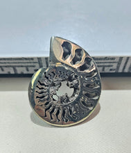 Load image into Gallery viewer, ✨Pyritized Ammonite: Ancient Power & Golden Manifestation!✨