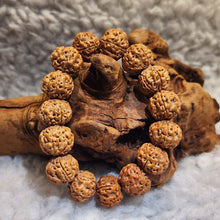 Load image into Gallery viewer, 🌿 Rudraksha Bracelet – Sacred Protection & Spiritual Balance 🌿