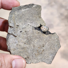 Load image into Gallery viewer, ✨ Rare Herkimer Diamond on Matrix ✨