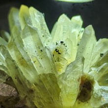 Load image into Gallery viewer, ✨ Raw Citrine with Chalcopyrite – Abundance, Confidence & Energy Boost ✨