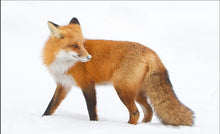 Load image into Gallery viewer, 🦊✨ Handcrafted Wire Wrapped Crystal Fox ✨🦊