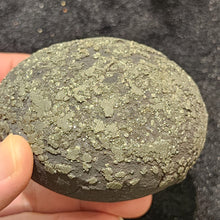 Load image into Gallery viewer, ✨ Pyrite Concretion Sphere – The Stone of Abundance & Protection ✨