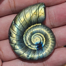 Load image into Gallery viewer, ✨🌀 Labradorite Ammonite — Ancient Spiral, Magical Light 🌀✨