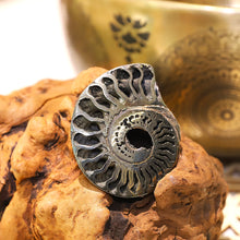 Load image into Gallery viewer, ✨Pyritized Ammonite: Ancient Power & Golden Manifestation!✨