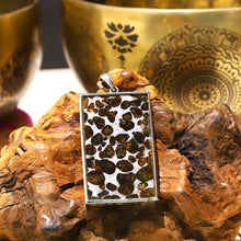 Load image into Gallery viewer, Pallasite Meteorite Pendant – Celestial Heirloom