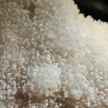 Load image into Gallery viewer, ✨Raw Fluorite with Calcite — Stunning Natural Crystal Formation✨