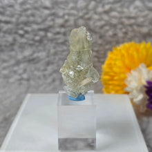 Load image into Gallery viewer, Gemmy Green Apophyllite Specimen Display – 宝石级绿色鱼眼石标本摆件