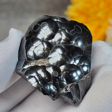Load image into Gallery viewer, Botryoidal Hematite Specimen Display (Morocco) – 摩洛哥葡萄状赤铁矿标本摆件