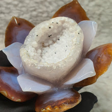 Load image into Gallery viewer, Agate Lotus Flower Carving – Purity & Calm Display