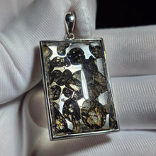 Load image into Gallery viewer, Pallasite Meteorite Pendant – 橄榄陨石吊坠