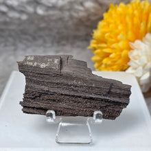 Load image into Gallery viewer, German Druzy Petrified Wood Display – Ancient Fossil Wood Specimen – 德国晶洞木化石远古化石标本