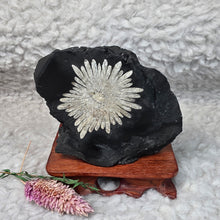 Load image into Gallery viewer, Chrysanthemum Stone Display – 菊花石天然摆件