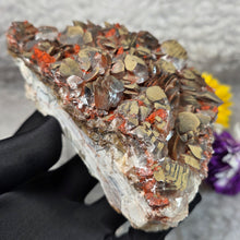 Load image into Gallery viewer, Nail Head Calcite with Siderite & Red Hematite Display – 钉头方解石共生菱铁矿赤铁矿摆件