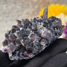 Load image into Gallery viewer, Amethyst Cluster Specimen (Bulgaria) – 保加利亚紫水晶簇矿标