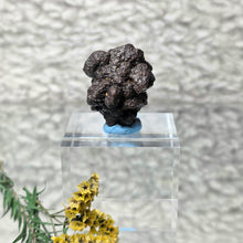 Load image into Gallery viewer, Prophecy Stone from the Sahara Desert – Transformation & Inner Awakening