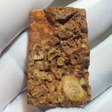 Load image into Gallery viewer, 龙宫舍利 Somdej – Sacred Amulet for Protection, Peace & Strength