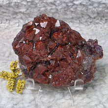Load image into Gallery viewer, Brazilian Auralite Cluster Display – 巴西极光23水晶簇摆件