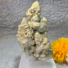 Load image into Gallery viewer, Quartz with Calcite & Actinolite Cluster (Madan Ore Field, Smolyan Province, Bulgaria) – 保加利亚马丹矿区石英方解石阳起石共生晶簇