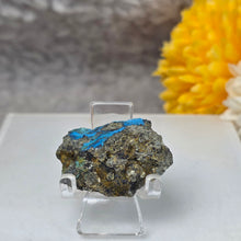 Load image into Gallery viewer, Blue Aerinite Specimen Display (Spain) – 西班牙蓝纤石标本摆件