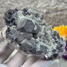 Load image into Gallery viewer, Galena on Quartz Mineral Specimen (Peru) – 秘鲁方铅矿共生石英天然矿物标本