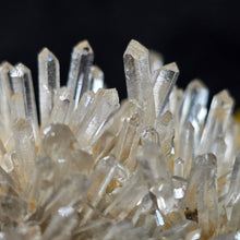 Load image into Gallery viewer, Clear Quartz with Blue Needle Cluster Display (Santander Mine, Colombia) – 哥伦比亚 Santander 蓝针水晶天然石英簇矿物摆件