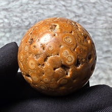 Load image into Gallery viewer, 佛眼龙宫舍利 (Thai Dragon Palace Relic Stone) – Protection, Blessings & Spiritual Power