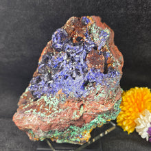Load image into Gallery viewer, Azurite with Malachite Display (Laos) – 老挝蓝铜矿共生孔雀石摆件