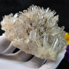 Load image into Gallery viewer, Clear Quartz with Blue Needle Cluster Display (Santander Mine, Colombia) – 哥伦比亚 Santander 蓝针水晶天然石英簇矿物摆件
