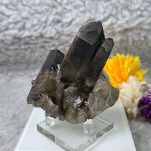 Load image into Gallery viewer, Smoky Quartz Cluster (Brazil) – 巴西烟晶簇