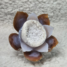 Load image into Gallery viewer, Agate Lotus Flower Carving – Purity & Calm Display