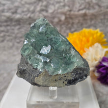 Load image into Gallery viewer, Green Fluorite Specimen (Xianghualing Mine, Hunan, China) – 湖南香花岭矿天然绿色萤石矿物标本