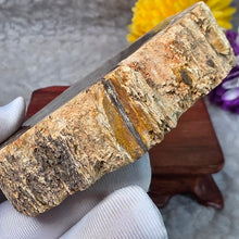 Load image into Gallery viewer, Petrified Wood Display (Madagascar) – 马达加斯加木化石摆件