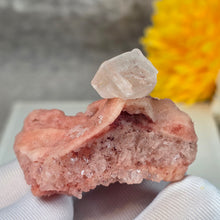Load image into Gallery viewer, Pink Halite Specimen Display (California) – 加州粉红岩盐矿物标本摆件