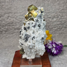 Load image into Gallery viewer, Chalcopyrite, Sphalerite & Quartz Specimen – 黄铜矿闪锌矿共生石英矿物标本
