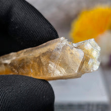 Load image into Gallery viewer, Golden Selenite Display (Spain) – 西班牙金色透石膏摆件
