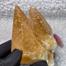Load image into Gallery viewer, Golden Dogtooth Calcite Display – 金色犬牙方解石摆件