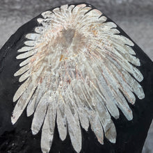 Load image into Gallery viewer, Chrysanthemum Stone Display – 菊花石天然摆件