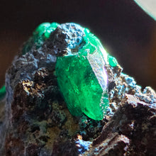 Load image into Gallery viewer, Dioptase with Chrysocolla Specimen (Congo) – 刚果翠铜矿共生蓝铜矿矿标