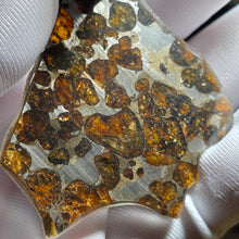 Load image into Gallery viewer, Pallasite Meteorite Slab Display – 橄榄陨石切片摆件