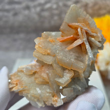 Load image into Gallery viewer, Blue Barite Mineral Specimen (Morocco) – 摩洛哥天然蓝色重晶石矿物标本