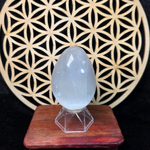 Load image into Gallery viewer, Polished Selenite Egg Shaped Display (6.7cm x 4.5cm) – 透石膏抛光蛋形摆件