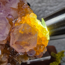 Load image into Gallery viewer, Spirit Quartz with Citrine Cluster Display – 仙人掌水晶伴黄水晶簇摆件