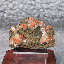 Load image into Gallery viewer, Thomsonite with Mesolite Specimen (India) – 印度托姆森石伴中沸石矿物标本