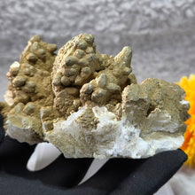 Load image into Gallery viewer, Quartz with Calcite & Actinolite Cluster (Madan Ore Field, Smolyan Province, Bulgaria) – 保加利亚马丹矿区石英方解石阳起石共生晶簇
