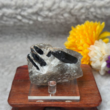 Load image into Gallery viewer, Raw Black Tourmaline in Quartz Specimen Display – 黑碧玺共生石英原矿摆件